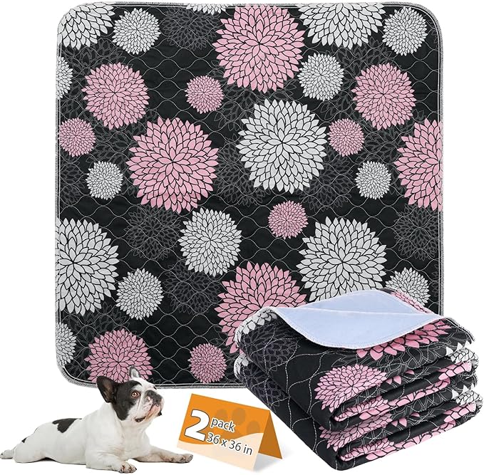 KOOLTAIL Washable Pee Pads for Dogs, 2 Pack Super Absorbent Reusable Puppy Training Pads Waterproof, Nonslip and Leak-Proof Dog Pee Pads, Large Pet Mats Whelping Pads for Floor, Crate, Couch, 36"x36"