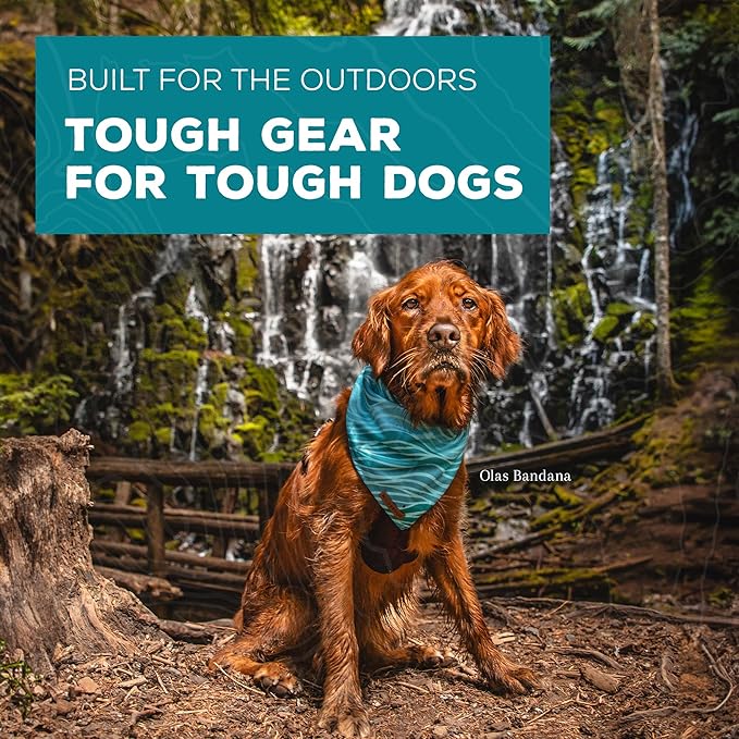 Wilderdog Dog Bandana with Lightweight Quick Drying Poly-Blend Mesh Material in Russet