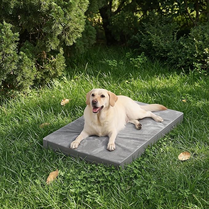 Waterproof Dog Beds Large Sized Dogs, Washable Orthopedic Pet Bed with Removable Cover Reversible, Foam Pets Bed Durable Anti-Slip Bottom, 36"x27", Gray