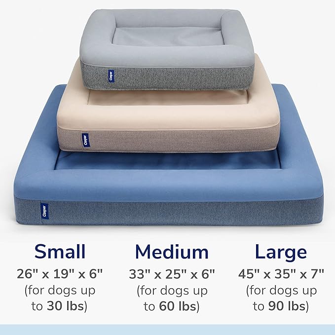 Casper Dog Bed, Plush Memory Foam, Small, Gray, 26.0"L x 19.0"W x 6.0"Th