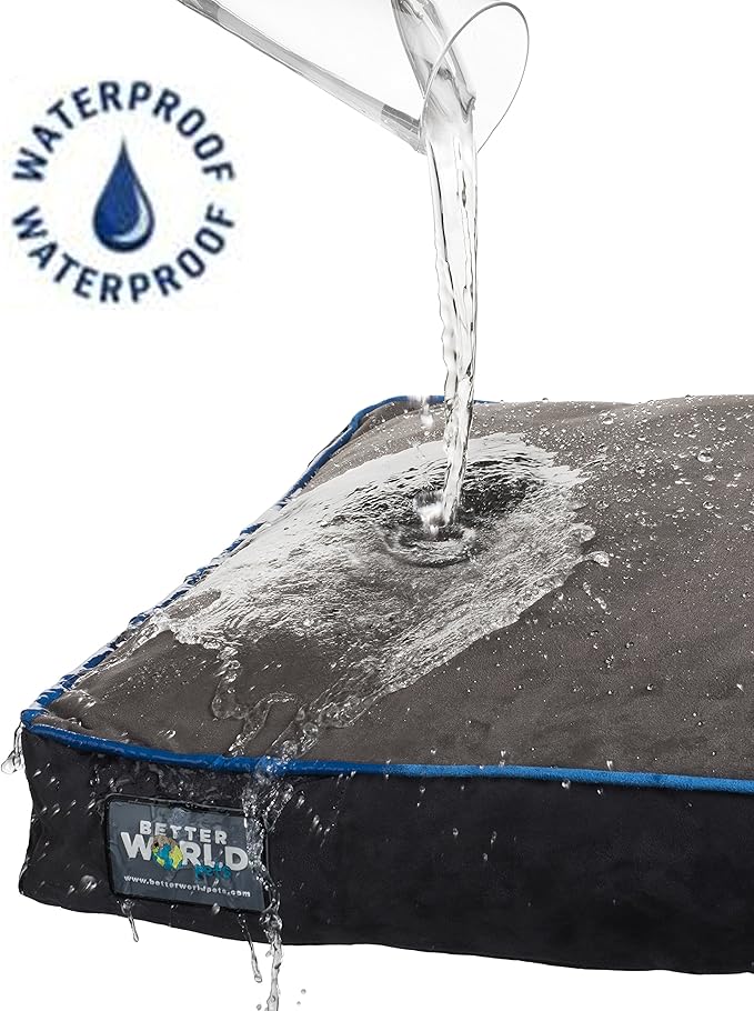 Better World Pets 5-inch Thick Orthopedic Dog Bed | Pure Premium Shredded Memory Foam Ideal for Aging Dogs | Waterproof Removable Washable Cover
