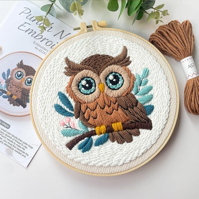 Myfelicity Punch Needle Embroidery Kit, Beginner Craft Set with Animal Pattern Design, 7.9 Inch Hoop (owl)