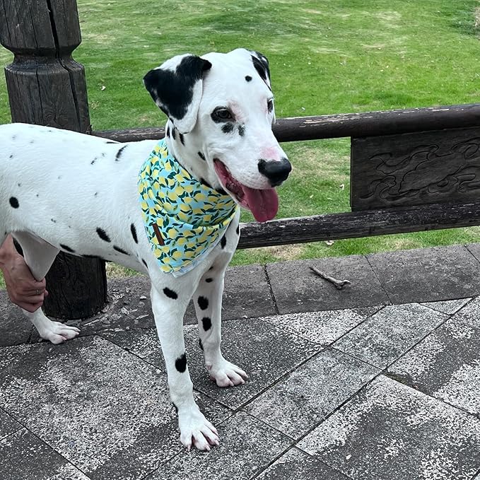 MR. CHUBBYFACE Spring Lemon Dog Bandanas Reversible Triangle Bibs Scarf Accessories for Dogs Cats Pets