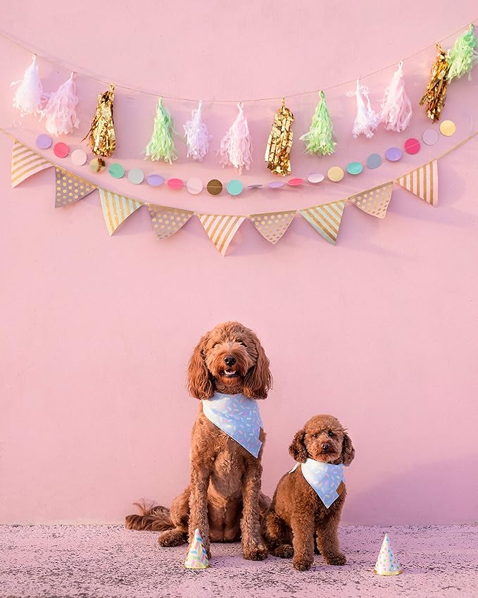 Remy+Roo Dog Bandanas - 2 Pack | Birthday Set | Premium Durable Fabric | Patented Shape | Adjustable Fit | Multiple Sizes Offered (Small)