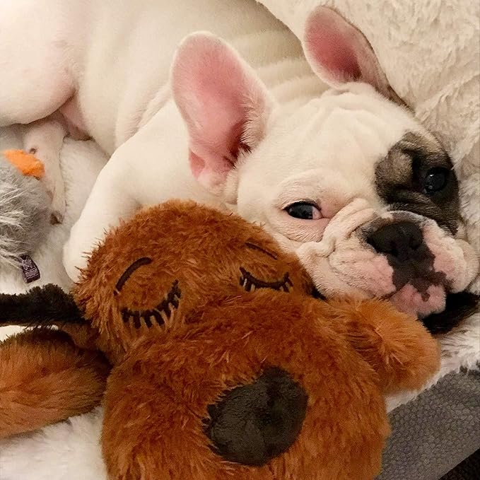 Original Snuggle Puppy Heartbeat Puppy Toy - Heartbeat Puppy for Dogs - Pet Anxiety Relief and Calming Aid - Comfort Dog Toy - Behavioral Training and Sleep Aid Cuddle buddy - Crate Training Essential