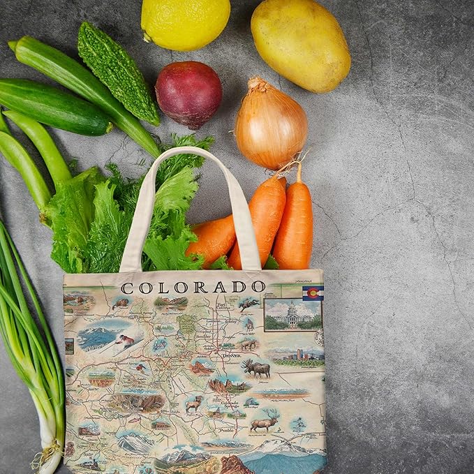 Xplorer Maps Canvas Tote Bag with Handles, Cloth Grocery Shopping Bag, Reusable & Eco-friendly Bag, 100% Cotton, Washable