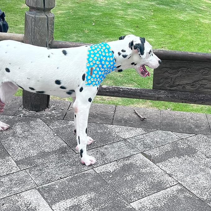 MR. CHUBBYFACE Blue Beer Dog Bandanas Reversible Triangle Bibs Scarf Accessories for Dogs Cats Pets