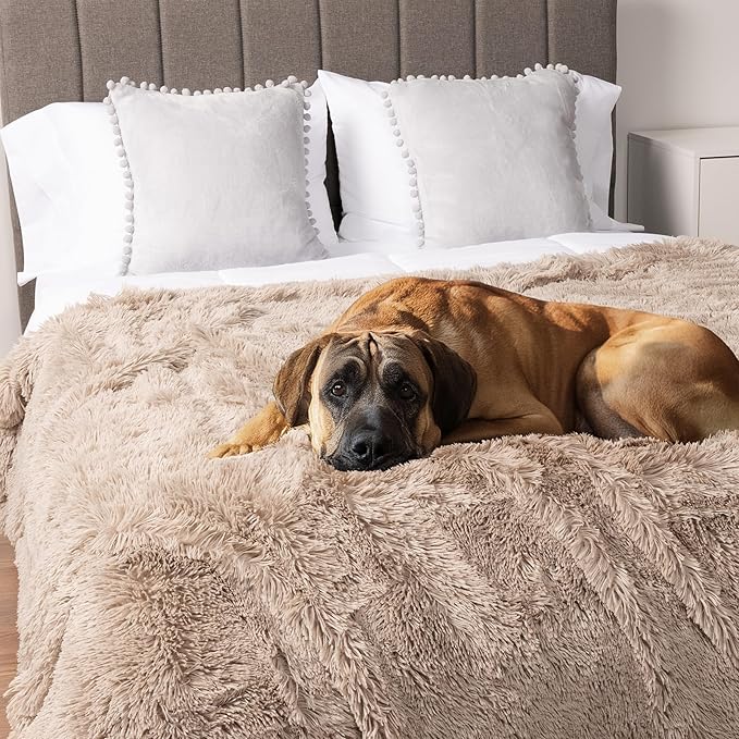 PetAmi Waterproof Dog Blanket for Large Dog, Queen Size Calming Pet Blanket Couch Cover Protector, Sherpa Faux Fur Cat Throw for Sofa Furniture Bed, Soft Fluffy XL, 90x90 Taupe