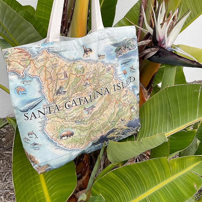 Xplorer Maps Canvas Tote Bag with Handles, Cloth Grocery Shopping Bag, Reusable & Eco-friendly Bag, 100% Cotton, Washable